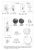 Chronicle of the Archaeological Excavations in Romania, 2005 Campaign. Report no. 142, Pietroasele, Staţiunea de Cercetări Viti-Vinicole Pietroasa (SCV Pietroasa)<br /><a href='CronicaCAfotografii/2005/142/rsz-1.jpg' target=_blank>Display the same picture in a new window</a>