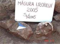 Cronica Cercetărilor Arheologice din România, Campania 2005. Raportul nr. 149, Rapoltu Mare, Măgura Uroiului (Arany Hegy)<br /><a href='CronicaCAfotografii/2005/149/rsz-4.jpg' target=_blank>Priveşte aceeaşi imagine într-o fereastră nouă</a>