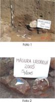 Chronicle of the Archaeological Excavations in Romania, 2005 Campaign. Report no. 149, Rapoltu Mare, Măgura Uroiului (Arany Hegy)<br /><a href='CronicaCAfotografii/2005/149/rsz-7.jpg' target=_blank>Display the same picture in a new window</a>