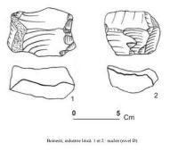 Cronica Cercetărilor Arheologice din România, Campania 2005. Raportul nr. 153, Remetea Oaşului, Remetea Şomoş I<br /><a href='CronicaCAfotografii/2005/153/rsz-0.jpg' target=_blank>Priveşte aceeaşi imagine într-o fereastră nouă</a>