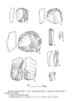 Chronicle of the Archaeological Excavations in Romania, 2005 Campaign. Report no. 153, Remetea Oaşului, Remetea Şomoş I<br /><a href='CronicaCAfotografii/2005/153/rsz-2.jpg' target=_blank>Display the same picture in a new window</a>