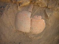 Cronica Cercetărilor Arheologice din România, Campania 2005. Raportul nr. 159, Dulceşti, Ferma legumicolă<br /><a href='CronicaCAfotografii/2005/159/rsz-12.jpg' target=_blank>Priveşte aceeaşi imagine într-o fereastră nouă</a>