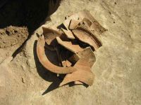 Cronica Cercetărilor Arheologice din România, Campania 2005. Raportul nr. 159, Dulceşti, Ferma legumicolă<br /><a href='CronicaCAfotografii/2005/159/rsz-13.jpg' target=_blank>Priveşte aceeaşi imagine într-o fereastră nouă</a>