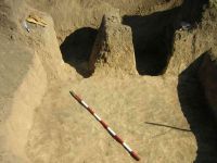 Cronica Cercetărilor Arheologice din România, Campania 2005. Raportul nr. 159, Dulceşti, Ferma legumicolă<br /><a href='CronicaCAfotografii/2005/159/rsz-17.jpg' target=_blank>Priveşte aceeaşi imagine într-o fereastră nouă</a>