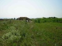 Cronica Cercetărilor Arheologice din România, Campania 2005. Raportul nr. 159, Dulceşti, Ferma legumicolă<br /><a href='CronicaCAfotografii/2005/159/rsz-18.jpg' target=_blank>Priveşte aceeaşi imagine într-o fereastră nouă</a>