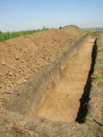 Cronica Cercetărilor Arheologice din România, Campania 2005. Raportul nr. 159, Dulceşti, Ferma legumicolă<br /><a href='CronicaCAfotografii/2005/159/rsz-2.jpg' target=_blank>Priveşte aceeaşi imagine într-o fereastră nouă</a>