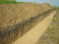 Cronica Cercetărilor Arheologice din România, Campania 2005. Raportul nr. 159, Dulceşti, Ferma legumicolă<br /><a href='CronicaCAfotografii/2005/159/rsz-3.jpg' target=_blank>Priveşte aceeaşi imagine într-o fereastră nouă</a>