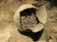 Cronica Cercetărilor Arheologice din România, Campania 2005. Raportul nr. 159, Dulceşti, Ferma legumicolă<br /><a href='CronicaCAfotografii/2005/159/rsz-6.jpg' target=_blank>Priveşte aceeaşi imagine într-o fereastră nouă</a>