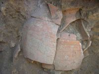 Cronica Cercetărilor Arheologice din România, Campania 2005. Raportul nr. 159, Dulceşti, Ferma legumicolă<br /><a href='CronicaCAfotografii/2005/159/rsz-7.jpg' target=_blank>Priveşte aceeaşi imagine într-o fereastră nouă</a>