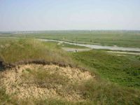 Cronica Cercetărilor Arheologice din România, Campania 2005. Raportul nr. 159, Dulceşti, Ferma legumicolă<br /><a href='CronicaCAfotografii/2005/159/rsz-8.jpg' target=_blank>Priveşte aceeaşi imagine într-o fereastră nouă</a>