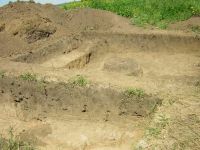 Cronica Cercetărilor Arheologice din România, Campania 2005. Raportul nr. 159, Dulceşti, Ferma legumicolă<br /><a href='CronicaCAfotografii/2005/159/rsz-9.jpg' target=_blank>Priveşte aceeaşi imagine într-o fereastră nouă</a>