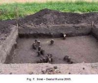 Chronicle of the Archaeological Excavations in Romania, 2005 Campaign. Report no. 179, Siret, Dealul Ruina<br /><a href='CronicaCAfotografii/2005/179/rsz-6.jpg' target=_blank>Display the same picture in a new window</a>