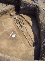 Cronica Cercetărilor Arheologice din România, Campania 2005. Raportul nr. 184, Stelnica, Grădiştea Mare<br /><a href='CronicaCAfotografii/2005/184/rsz-11.jpg' target=_blank>Priveşte aceeaşi imagine într-o fereastră nouă</a>