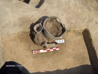 Cronica Cercetărilor Arheologice din România, Campania 2005. Raportul nr. 184, Stelnica, Grădiştea Mare<br /><a href='CronicaCAfotografii/2005/184/rsz-14.jpg' target=_blank>Priveşte aceeaşi imagine într-o fereastră nouă</a>