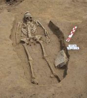 Cronica Cercetărilor Arheologice din România, Campania 2005. Raportul nr. 184, Stelnica, Grădiştea Mare<br /><a href='CronicaCAfotografii/2005/184/rsz-15.jpg' target=_blank>Priveşte aceeaşi imagine într-o fereastră nouă</a>