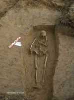 Cronica Cercetărilor Arheologice din România, Campania 2005. Raportul nr. 184, Stelnica, Grădiştea Mare<br /><a href='CronicaCAfotografii/2005/184/rsz-16.jpg' target=_blank>Priveşte aceeaşi imagine într-o fereastră nouă</a>