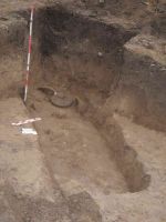 Cronica Cercetărilor Arheologice din România, Campania 2005. Raportul nr. 184, Stelnica, Grădiştea Mare<br /><a href='CronicaCAfotografii/2005/184/rsz-19.jpg' target=_blank>Priveşte aceeaşi imagine într-o fereastră nouă</a>