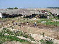 Cronica Cercetărilor Arheologice din România, Campania 2005. Raportul nr. 184, Stelnica, Grădiştea Mare<br /><a href='CronicaCAfotografii/2005/184/rsz-2.jpg' target=_blank>Priveşte aceeaşi imagine într-o fereastră nouă</a>