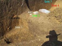 Cronica Cercetărilor Arheologice din România, Campania 2005. Raportul nr. 204, Ţaga, Baza Arheologică (Păşune)<br /><a href='CronicaCAfotografii/2005/204/rsz-4.jpg' target=_blank>Priveşte aceeaşi imagine într-o fereastră nouă</a>