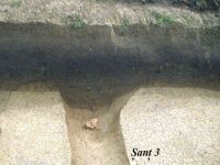 Cronica Cercetărilor Arheologice din România, Campania 2005. Raportul nr. 204, Ţaga, Baza Arheologică (Păşune)<br /><a href='CronicaCAfotografii/2005/204/rsz-8.jpg' target=_blank>Priveşte aceeaşi imagine într-o fereastră nouă</a>