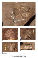 Cronica Cercetărilor Arheologice din România, Campania 2005. Raportul nr. 208, Vadu Săpat, La Silişte (Hulă şi Puţul lui Burciu)<br /><a href='CronicaCAfotografii/2005/208/rsz-2.jpg' target=_blank>Priveşte aceeaşi imagine într-o fereastră nouă</a>