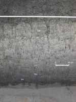 Cronica Cercetărilor Arheologice din România, Campania 2006. Raportul nr. 039, Bucşani, La Pod<br /><a href='CronicaCAfotografii/2006/039/rsz-1.jpg' target=_blank>Priveşte aceeaşi imagine într-o fereastră nouă</a>