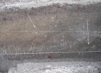 Cronica Cercetărilor Arheologice din România, Campania 2006. Raportul nr. 039, Bucşani, La Pod<br /><a href='CronicaCAfotografii/2006/039/rsz-3.jpg' target=_blank>Priveşte aceeaşi imagine într-o fereastră nouă</a>