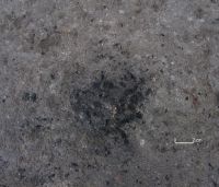 Cronica Cercetărilor Arheologice din România, Campania 2006. Raportul nr. 039, Bucşani, La Pod<br /><a href='CronicaCAfotografii/2006/039/rsz-4.jpg' target=_blank>Priveşte aceeaşi imagine într-o fereastră nouă</a>