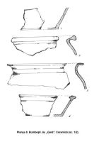 Chronicle of the Archaeological Excavations in Romania, 2006 Campaign. Report no. 47, Bumbeşti-Jiu, Gară<br /><a href='CronicaCAfotografii/2006/047/rsz-14.jpg' target=_blank>Display the same picture in a new window</a>