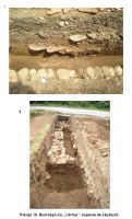 Chronicle of the Archaeological Excavations in Romania, 2006 Campaign. Report no. 47, Bumbeşti-Jiu, Gară<br /><a href='CronicaCAfotografii/2006/047/rsz-7.jpg' target=_blank>Display the same picture in a new window</a>