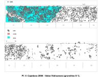 Cronica Cercetărilor Arheologice din România, Campania 2006. Raportul nr. 51, Capidava, Vlahcanara (Apa Vlahilor).<br /> Sectorul 06-ilustratie-sector-X.<br /><a href='CronicaCAfotografii/2006/051/rsz-4.jpg' target=_blank>Priveşte aceeaşi imagine într-o fereastră nouă</a>