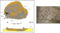 Chronicle of the Archaeological Excavations in Romania, 2006 Campaign. Report no. 54, Cârlomăneşti, Arman<br /><a href='CronicaCAfotografii/2006/054/rsz-3.jpg' target=_blank>Display the same picture in a new window</a>