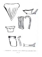 Cronica Cercetărilor Arheologice din România, Campania 2006. Raportul nr. 55, Ceplea, Biserica Dacilor (Valea Satului; Casa Cepleanu)<br /><a href='CronicaCAfotografii/2006/055/rsz-7.jpg' target=_blank>Priveşte aceeaşi imagine într-o fereastră nouă</a>