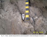 Chronicle of the Archaeological Excavations in Romania, 2006 Campaign. Report no. 56, Cheia, Vatra satului.<br /> Sector ILUSTRATIE-CHEIA-2017.<br /><a href='CronicaCAfotografii/2006/056/rsz-3.jpg' target=_blank>Display the same picture in a new window</a>