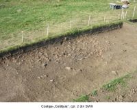 Cronica Cercetărilor Arheologice din România, Campania 2006. Raportul nr. 67, Costişa, Dealul Cetăţuia<br /><a href='CronicaCAfotografii/2006/067/rsz-3.jpg' target=_blank>Priveşte aceeaşi imagine într-o fereastră nouă</a>
