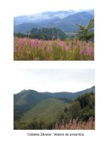 Cronica Cercetărilor Arheologice din România, Campania 2006. Raportul nr. 69, Covasna, Cetatea Zânelor (Muntele Cetăţii, Valea Zânelor, Dealul Zânelor)<br /><a href='CronicaCAfotografii/2006/069/rsz-0.jpg' target=_blank>Priveşte aceeaşi imagine într-o fereastră nouă</a>