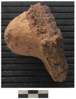 Cronica Cercetărilor Arheologice din România, Campania 2006. Raportul nr. 78, Sălard, Valea Şisterea Sud<br /><a href='CronicaCAfotografii/2006/078/rsz-14.jpg' target=_blank>Priveşte aceeaşi imagine într-o fereastră nouă</a>