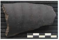 Cronica Cercetărilor Arheologice din România, Campania 2006. Raportul nr. 78, Sălard, Valea Şisterea Sud<br /><a href='CronicaCAfotografii/2006/078/rsz-4.jpg' target=_blank>Priveşte aceeaşi imagine într-o fereastră nouă</a>