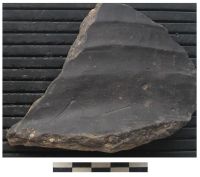 Cronica Cercetărilor Arheologice din România, Campania 2006. Raportul nr. 78, Sălard, Valea Şisterea Sud<br /><a href='CronicaCAfotografii/2006/078/rsz-6.jpg' target=_blank>Priveşte aceeaşi imagine într-o fereastră nouă</a>