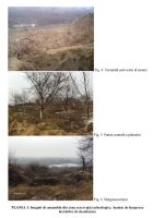 Cronica Cercetărilor Arheologice din România, Campania 2006. Raportul nr. 83, Galaţi, Cartierul Dunărea (Cătuşa)<br /><a href='CronicaCAfotografii/2006/083/rsz-0.jpg' target=_blank>Priveşte aceeaşi imagine într-o fereastră nouă</a>