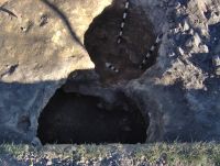 Cronica Cercetărilor Arheologice din România, Campania 2006. Raportul nr. 96, Hunedoara, Dealul Sânpetru<br /><a href='CronicaCAfotografii/2006/096/rsz-1.jpg' target=_blank>Priveşte aceeaşi imagine într-o fereastră nouă</a>