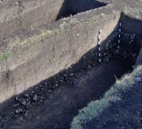 Cronica Cercetărilor Arheologice din România, Campania 2006. Raportul nr. 96, Hunedoara, Dealul Sânpetru<br /><a href='CronicaCAfotografii/2006/096/rsz-6.jpg' target=_blank>Priveşte aceeaşi imagine într-o fereastră nouă</a>