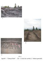 Chronicle of the Archaeological Excavations in Romania, 2006 Campaign. Report no. 103, Jigodin-Băi, Câmpul Morii (Jigodin I)<br /><a href='CronicaCAfotografii/2006/103/rsz-1.jpg' target=_blank>Display the same picture in a new window</a>