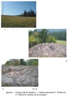 Chronicle of the Archaeological Excavations in Romania, 2006 Campaign. Report no. 103, Jigodin-Băi, Câmpul Morii (Jigodin I)<br /><a href='CronicaCAfotografii/2006/103/rsz-2.jpg' target=_blank>Display the same picture in a new window</a>