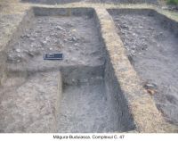 Chronicle of the Archaeological Excavations in Romania, 2006 Campaign. Report no. 117, Măgura, Teleor 003 (Buduiasca, Boldul lui Moş Ivănuş).<br /> Sector 01-poze-IMDA.<br /><a href='CronicaCAfotografii/2006/117/rsz-1.jpg' target=_blank>Display the same picture in a new window</a>