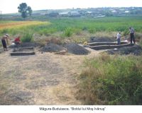 Chronicle of the Archaeological Excavations in Romania, 2006 Campaign. Report no. 117, Măgura, Teleor 003 (Buduiasca, Boldul lui Moş Ivănuş).<br /> Sector 01-poze-IMDA.<br /><a href='CronicaCAfotografii/2006/117/rsz-12.jpg' target=_blank>Display the same picture in a new window</a>