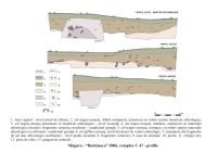 Chronicle of the Archaeological Excavations in Romania, 2006 Campaign. Report no. 117, Măgura, Teleor 003 (Buduiasca, Boldul lui Moş Ivănuş).<br /> Sector 01-poze-IMDA.<br /><a href='CronicaCAfotografii/2006/117/rsz-4.jpg' target=_blank>Display the same picture in a new window</a>