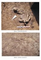 Chronicle of the Archaeological Excavations in Romania, 2006 Campaign. Report no. 119, Belciugatele<br /><a href='CronicaCAfotografii/2006/119/rsz-0.jpg' target=_blank>Display the same picture in a new window</a>