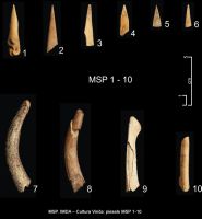 Chronicle of the Archaeological Excavations in Romania, 2006 Campaign. Report no. 121, Miercurea Sibiului, Petriş<br /><a href='CronicaCAfotografii/2006/121/rsz-0.jpg' target=_blank>Display the same picture in a new window</a>