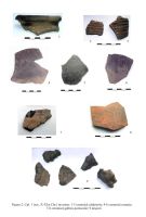 Cronica Cercetărilor Arheologice din România, Campania 2006. Raportul nr. 137, Pasărea, La sud de sat (Valea lui Victor)<br /><a href='CronicaCAfotografii/2006/137/rsz-1.jpg' target=_blank>Priveşte aceeaşi imagine într-o fereastră nouă</a>